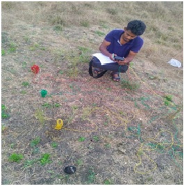 Electrical Resistivity Test